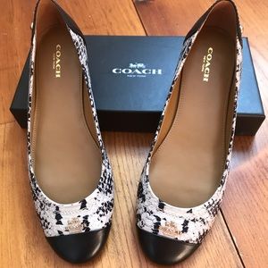 Coach Chelsea Snake/Matte Calf 7.5M